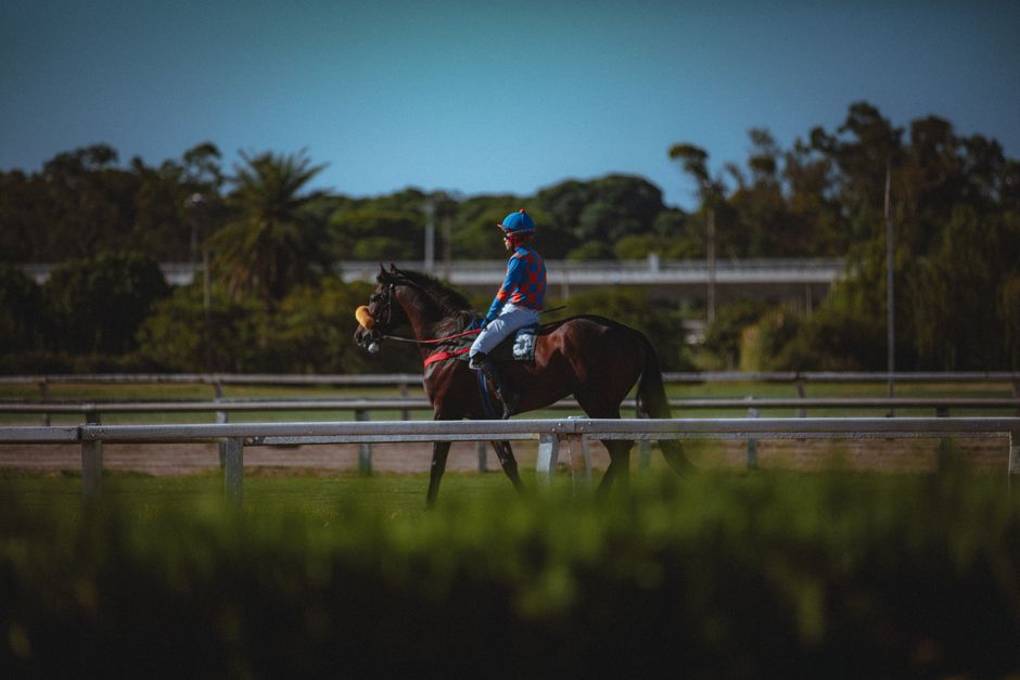 Entraînement du matin à Saint-Cloud : une jument et son jockey sur la piste avant le départ du Quinté